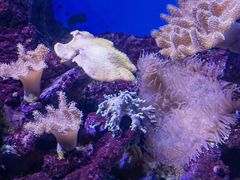 -泉城欧乐堡海洋极地世界