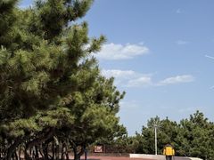 -山东八大碗山东老字号