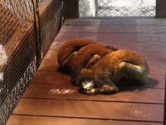 -北海市海滨公园