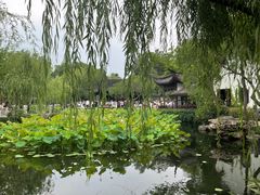 -拙政园