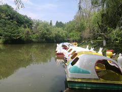 -水绘园