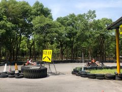 -上海海湾国家森林公园