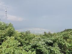 -阳台山自然风景区