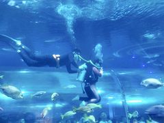 -海合安武汉极地海洋公园