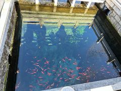 -山东政协大厦维景大酒店