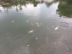 -白马涧龙池景区