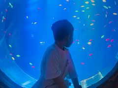 -华夏文旅海洋公园