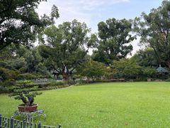 -申粤轩酒楼·三十年粤菜经典(丁香花园店)