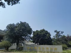 -汉景帝阳陵博物院