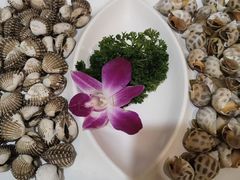 -国惠大酒楼(宝龙店)