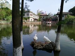 -东莞市可园博物馆