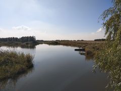 -白渔泡湿地公园