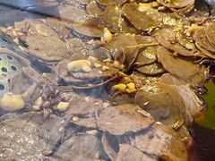 -张记捆鸡(总店)