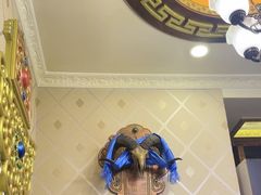 -一招鲜·全羊铺·蒙古奶茶(五一北路店)