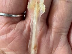 -土砂锅生态山庄·非遗砂锅雅鱼