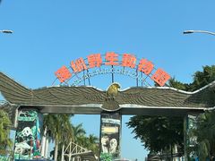 -深圳野生动物园
