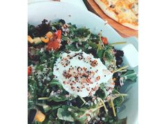 -百好乐宠物友好餐厅(朝外大街店)