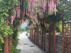 -紫云台香草园