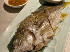 -码头见·潮汕菜(领展中心城店)
