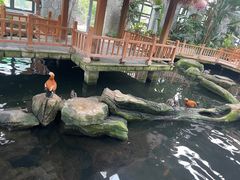 -南宫五洲植物乐园