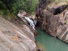 -广州白江湖森林公园