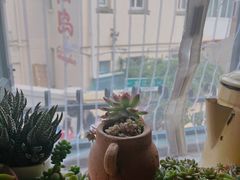 -不舍昼夜咖啡馆