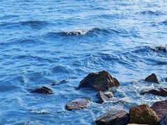 -深圳湾公园(南山区)
