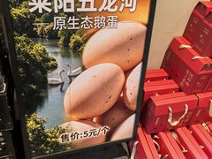 -单家老院·院子里的青岛菜(沙子口店)
