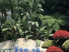 -东部华侨城