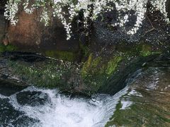 -中国茶叶博物馆(双峰馆区)