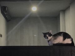 -虚荣精酿酒屋(五羊店)