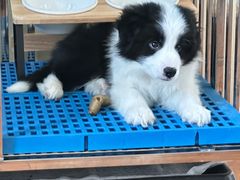 -美联众合24小时·皮肤科·外科·全科诊疗中心(华苑分院)