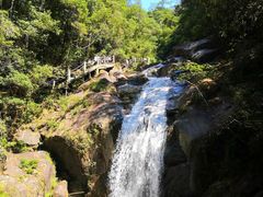 -九龙江国家森林公园