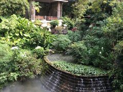-青青世界