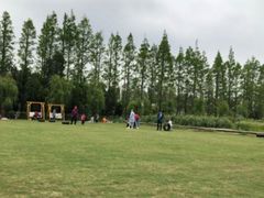 -前小桔亲子创意农场·草莓采摘·露营烧烤