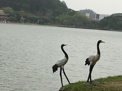 -顺峰山公园
