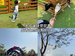 -盈香心动乐园