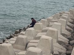 -雀舞云南菜(天津天河城购物中心店)