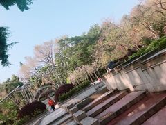 -九龙公园