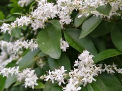 -艾溪湖湿地公园