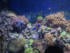 -珠海长隆海洋王国