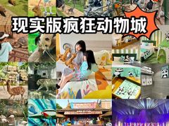 -灵玲国际马戏城