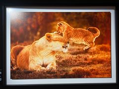 -罗红摄影艺术馆