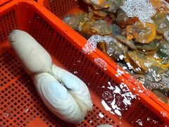 -霞涌市场海鲜摆卖区