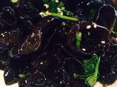 -蝴蝶汇音乐酒馆(罗湖店)