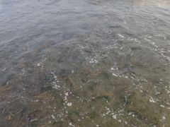 -青岛银沙滩