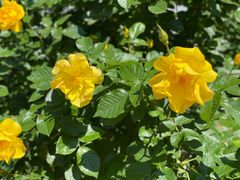 -国家植物园南园