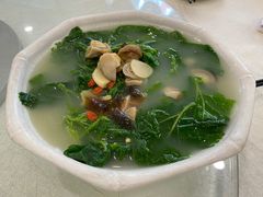 -姚林轩