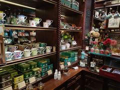 -布兰兔的植物庄园(杭州南宋御街店)