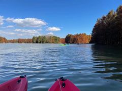 -上海海湾国家森林公园